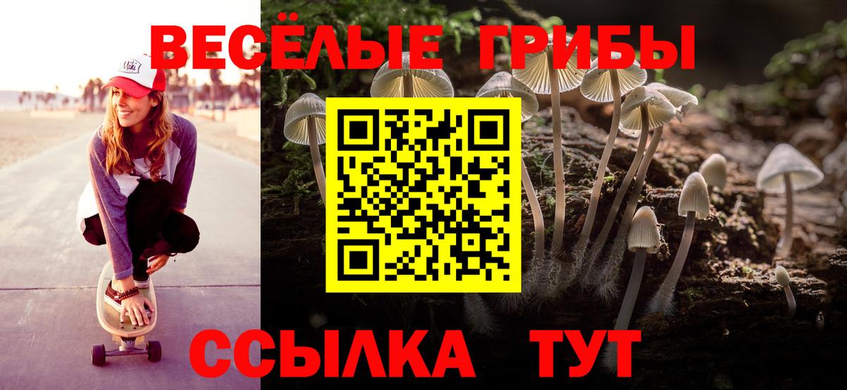 Псилоцибиновые грибы MAGIC MUSHROOMS  Вход с VPN  Красногорск 